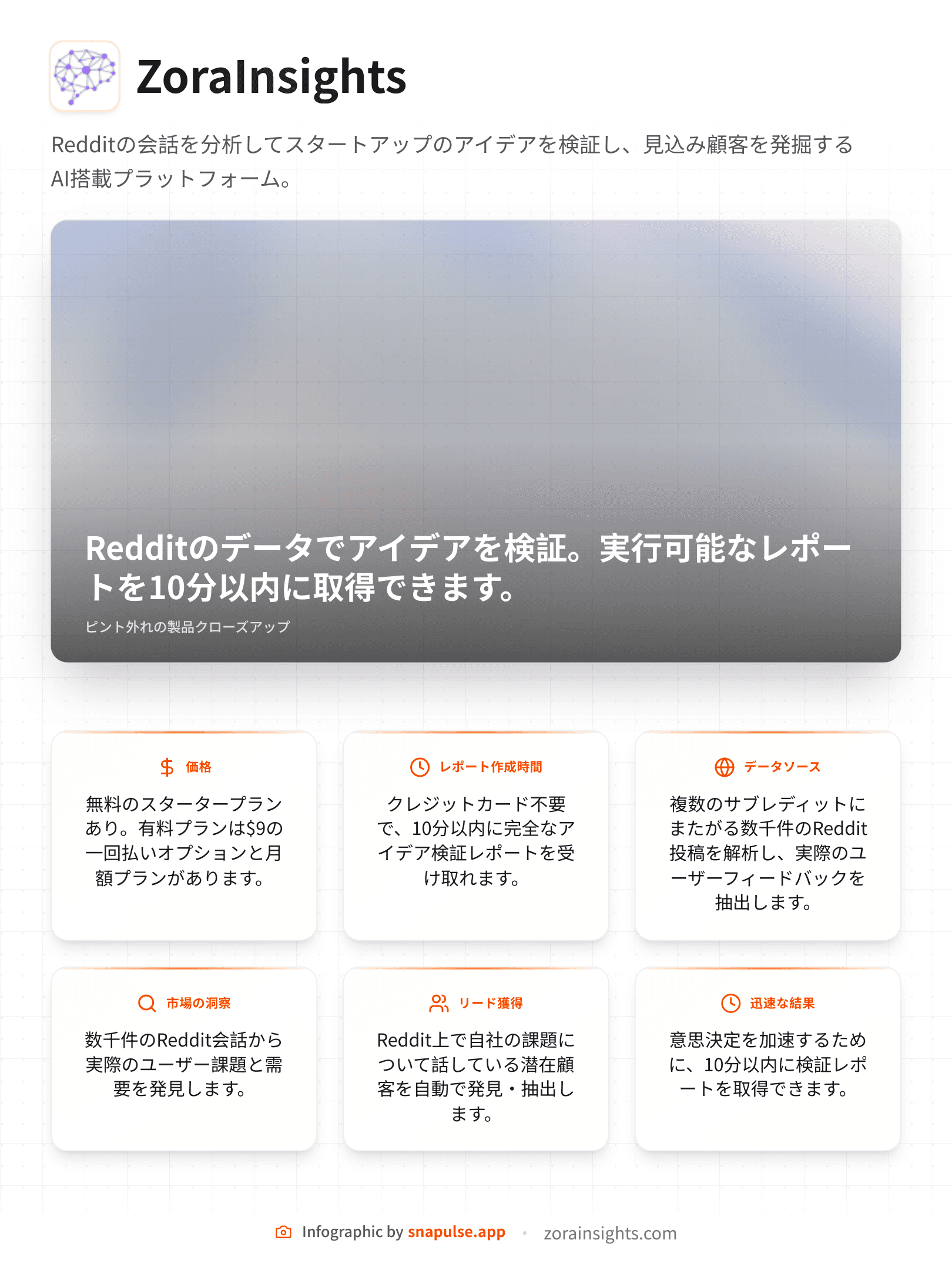 ZoraInsights infographic example
